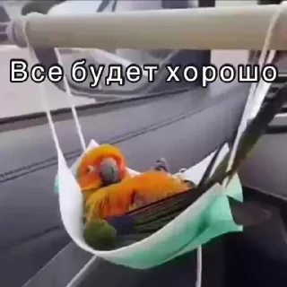 👌