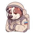 ⭐