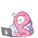 💻