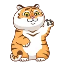 🐯