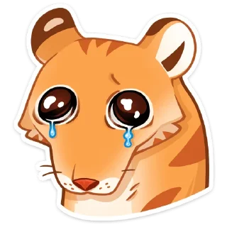 😢