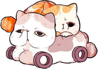 🐱