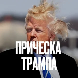 Креативно ругаем студентов — Telegram sticker pack