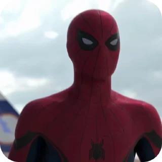 🌟
