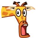 😲