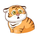 🐯