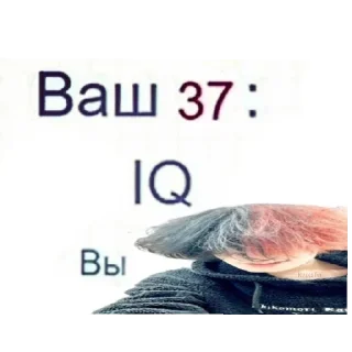 💯