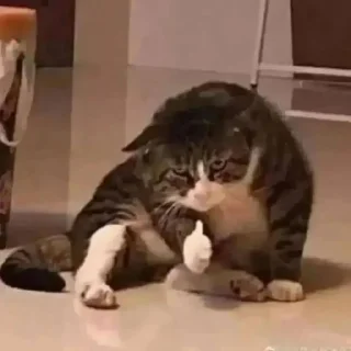 👍