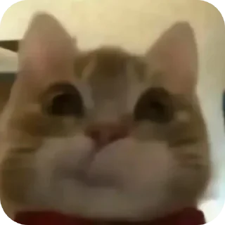 😏