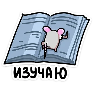 📖