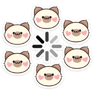 🐱