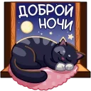 ⭐