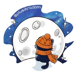 🌕