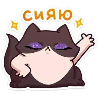 🐱