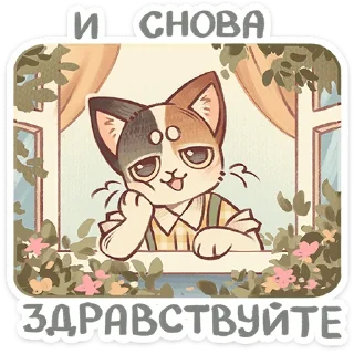 🌟