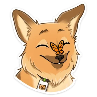 ⭐