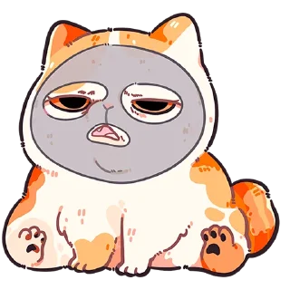 🐱