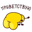 ⭐