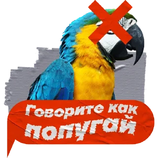 🦜