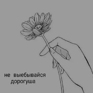 🖤