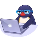 👨💻
