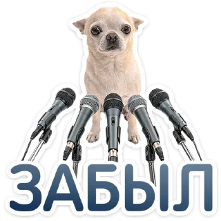 ⭐
