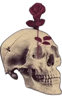 🫥