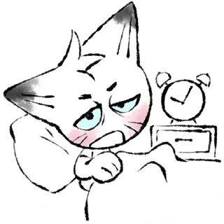 🐱
