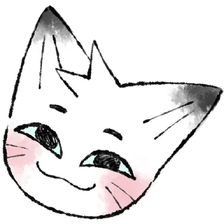 🐱