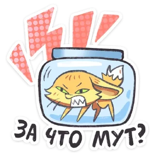⭐