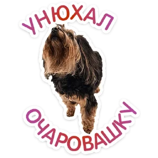 ⭐