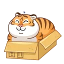 🐯
