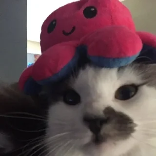 😃