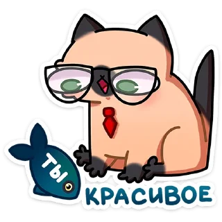 🐱