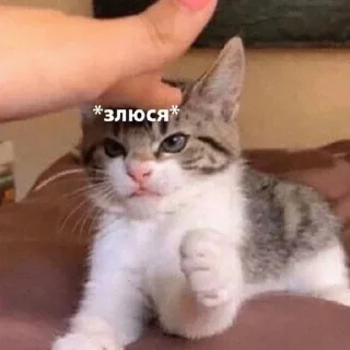 😠