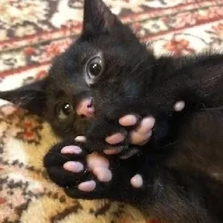 ☺️