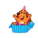 🎉