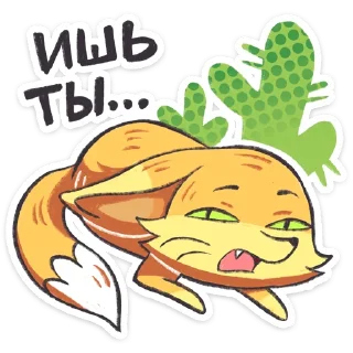 ⭐