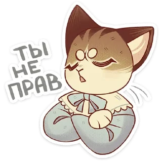 🐱