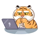🐯