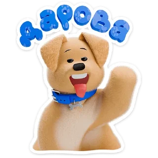 🐶