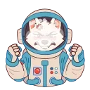 ⭐