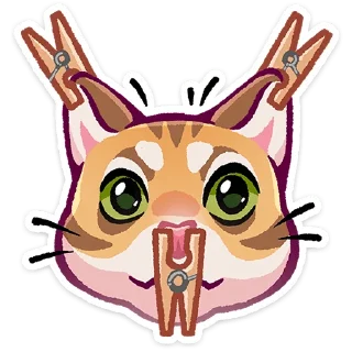 🐱