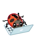 👨‍💻