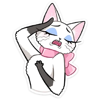 🐱