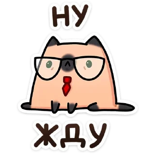 🐱