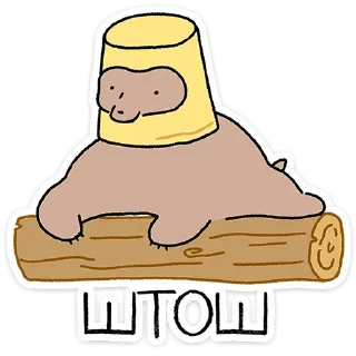 🐻