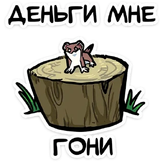 ⭐