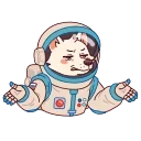 ⭐