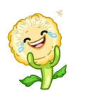 ⭐